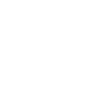 SoulLink Logo